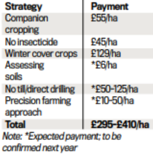 TABLE 2: SUSTAINABLE FARMING INCENTIVE PAYMENTS (FROM THE NO INPUT, INTERCROPPING STRATEGY)