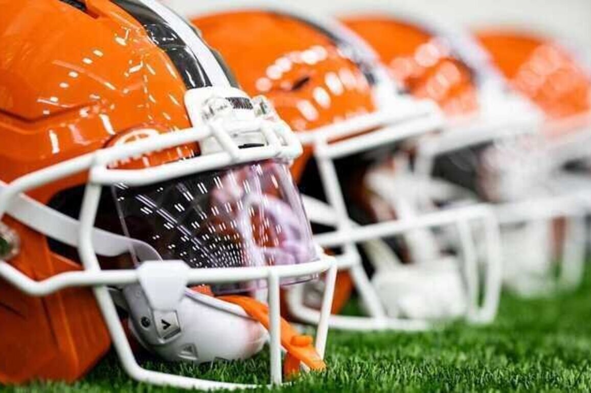 NFL owners approve Arctos as Cleveland Browns limited partner