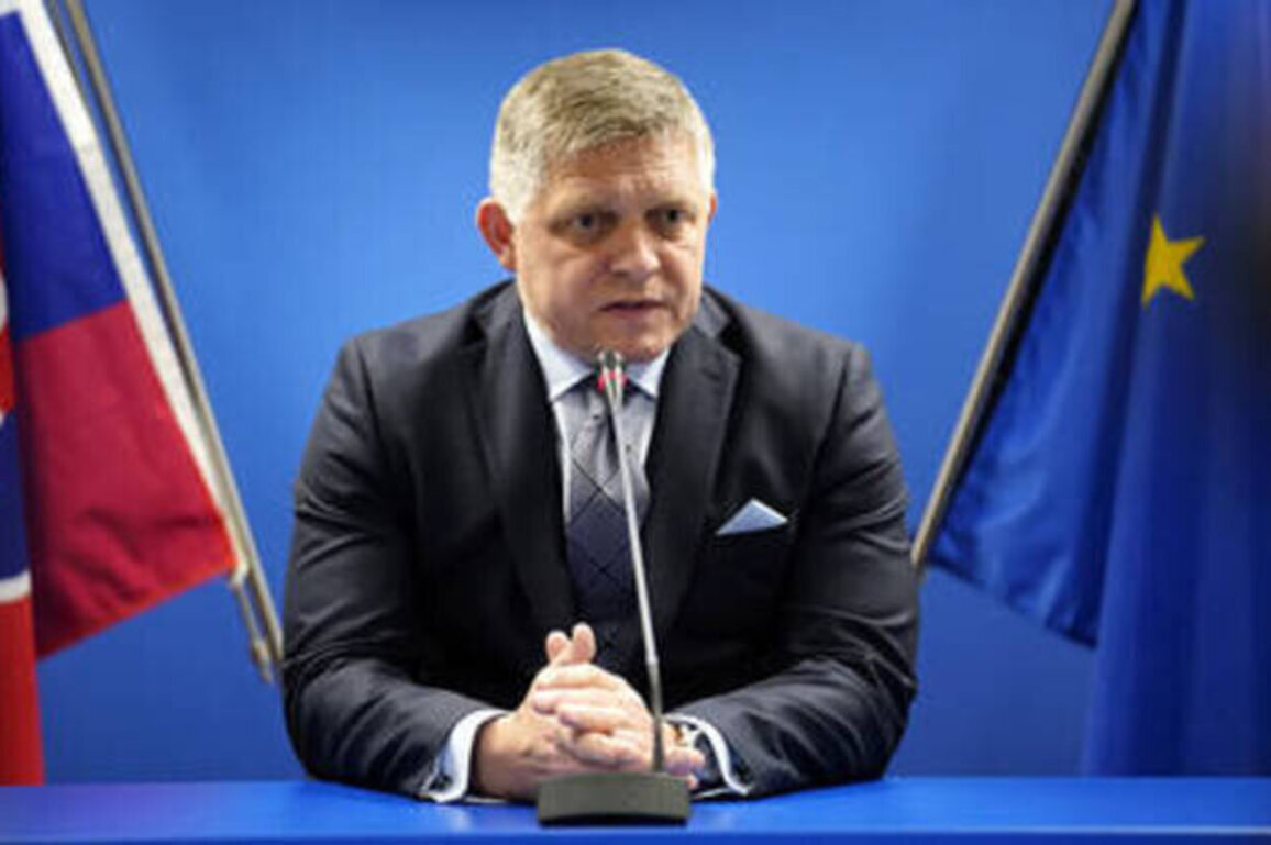 Ukrainian drones could trigger NATO-Russia war - Fico