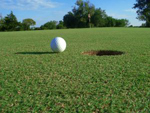 Travis golf sponsorship