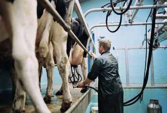 No signs of recovery in milk markets as prices drop