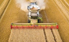 Harvest 23: Hagbergs and proteins variable, but yields average