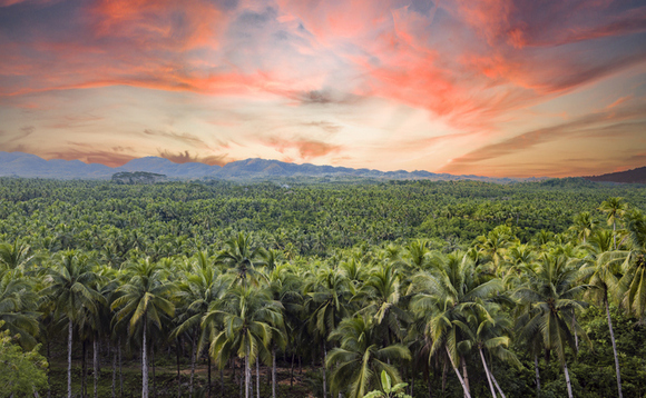 Defra to consult on long-awaited supply chain deforestation rules