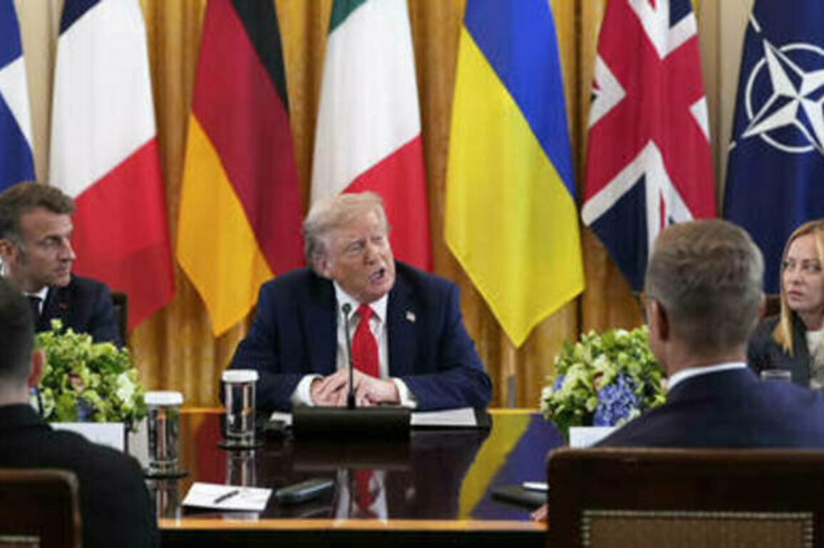 Who's the 'paper tiger' now? The EU will crack under the burden of Ukraine