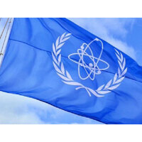 IAEA flags radiological accident concerns after reports of strike on Iran's Bushehr Nuclear Plant