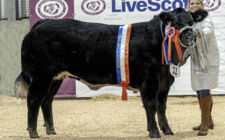 Sassy Lady claims supreme beef title at LiveScot