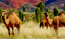 Taskforce will accelerate mining development in the Territory.