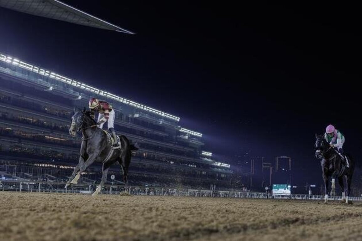 Dubai Racing Carnival sees record overseas wins with 130 international horses at Meydan
