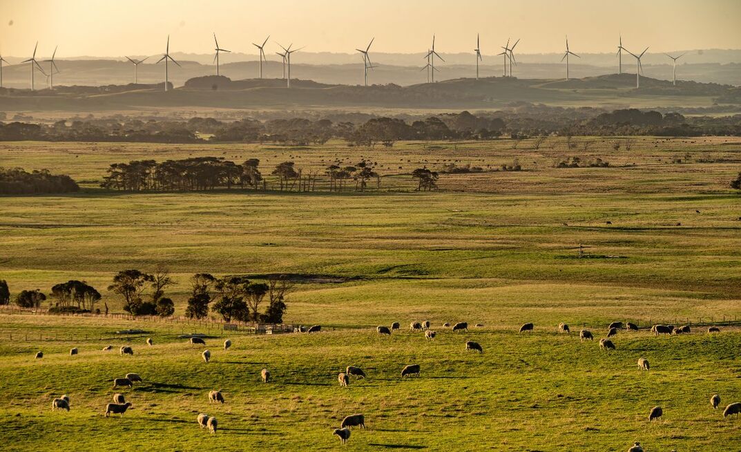 At an energy conference this week former NFF CEO, Tony Mahar, highlighted the powerlessness many people in regional communities felt as the impacts of the energy transition steam through agricultural land. 