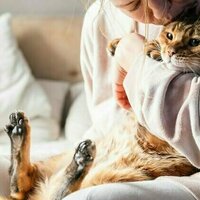 What owning a cat does to your brain (and theirs)