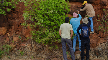 Exploração terras raras Origen Piauí PI Pico Campo de Cima Pesquisa Minerl