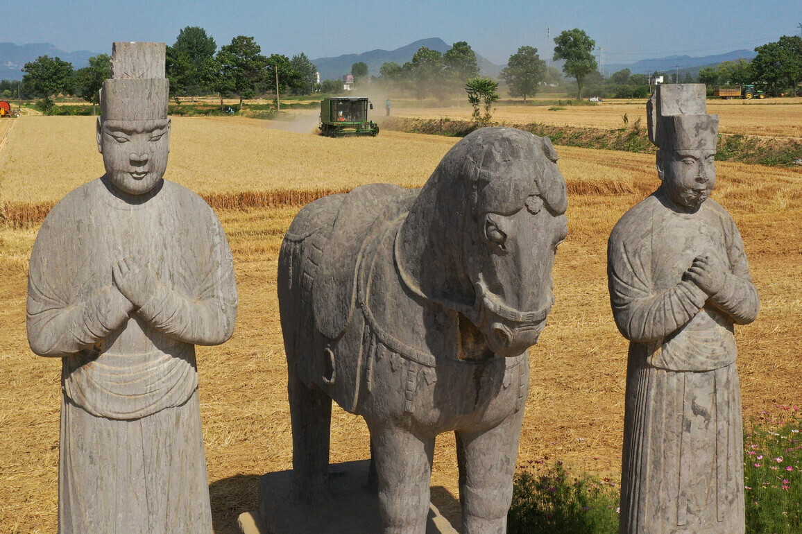 CHINA-HENAN-GONGYI-ANCIENT TOMB-WHEAT-HARVEST (CN)