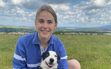 Young farmer focus: Vicky Haddow - 'The laughter and chat makes long shearing days more bearable'