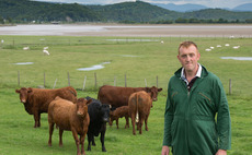 In Your Field: Will Case - 'Writing for Farmers Guardian has given me some great experiences'