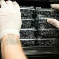 Opinion- Are tariffs going to obstruct our access to blueberries&quest;