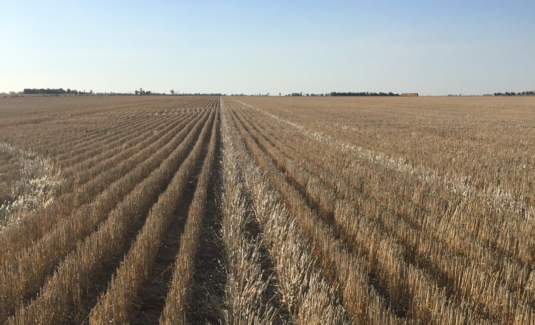 Farmer input is sought for a national survey on wellbeing.
