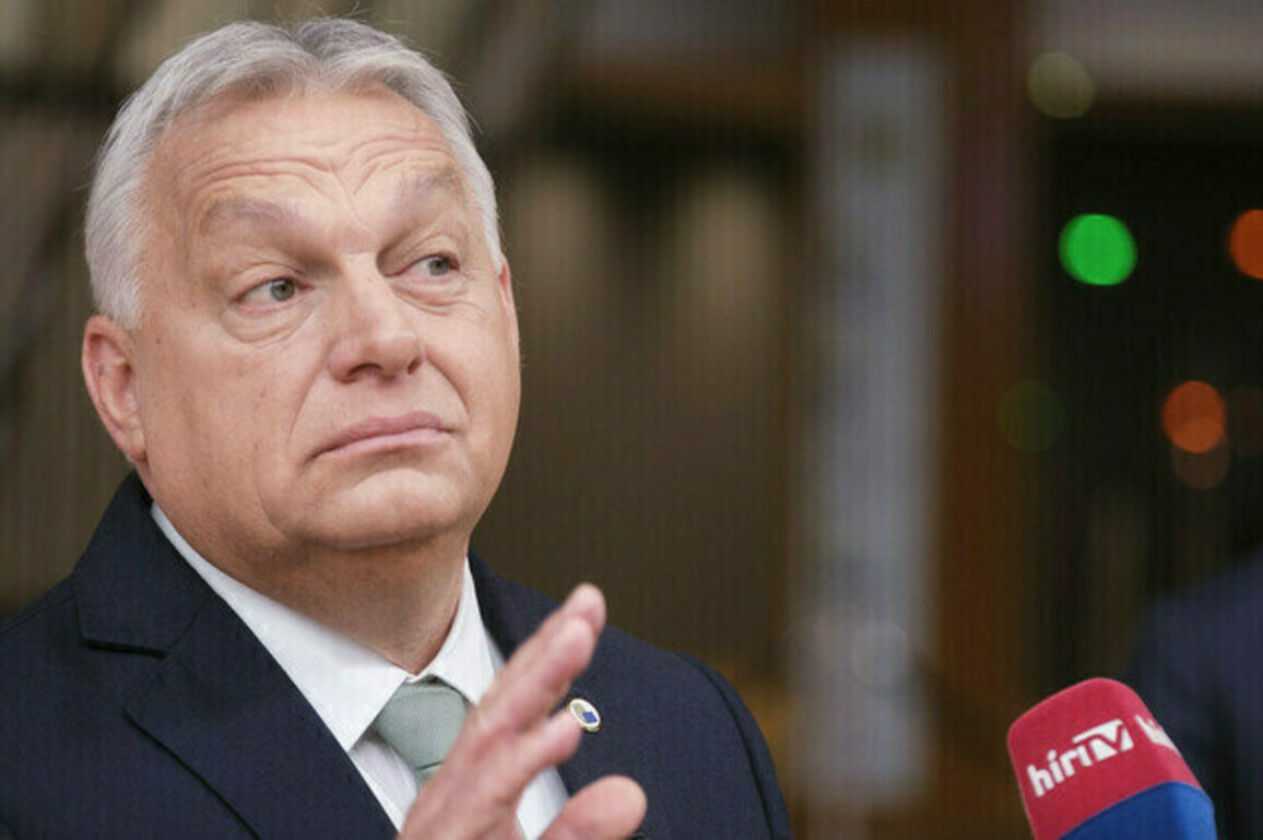 No euro for Hungary as EU falling apart  Orban