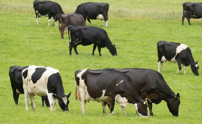 Welsh Government announces changes to bovine TB on-farm slaughter policy