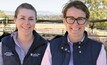 Recent trials by CSU students Emma Lynch and Jessica Hardie have shown canola meal to be a palatable and cost-effective cattle supplement. Image: Emily Malone