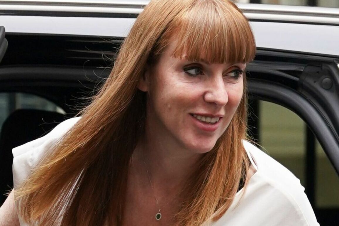 Angela Rayner steps up to confirm she's Labour's minister of limited intelligence