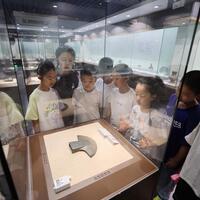 Exploring history at museums becomes summer trend in China