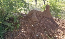 Target gravels at old plant site at the Blina diamond project