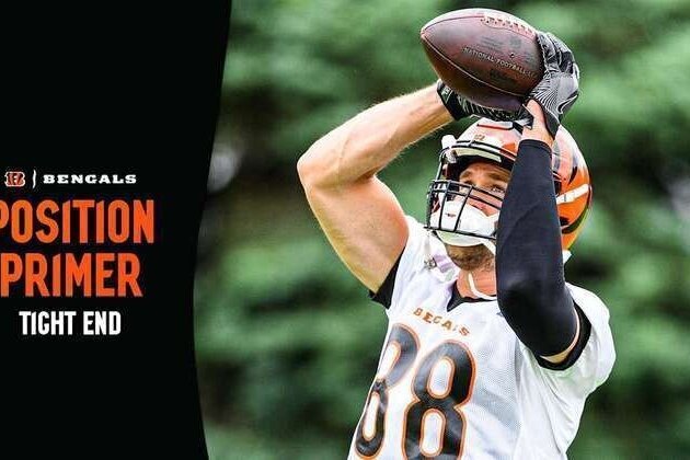 2026 Position Primer: Tight Ends
