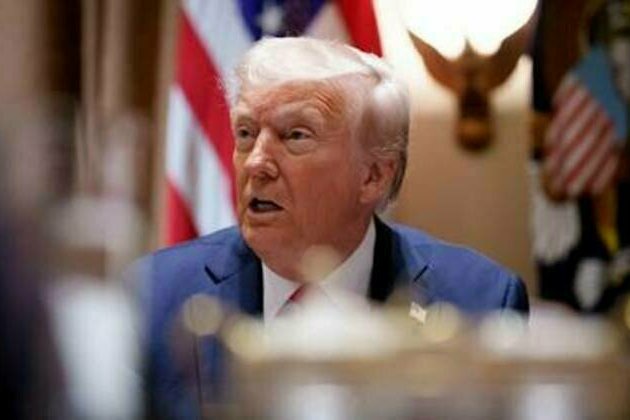 Ukraine should get as much land 'as possible' - Trump