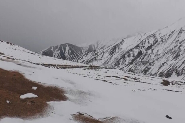 Cold wave, dense fog grip large parts of India; snowfall continues in Poonch