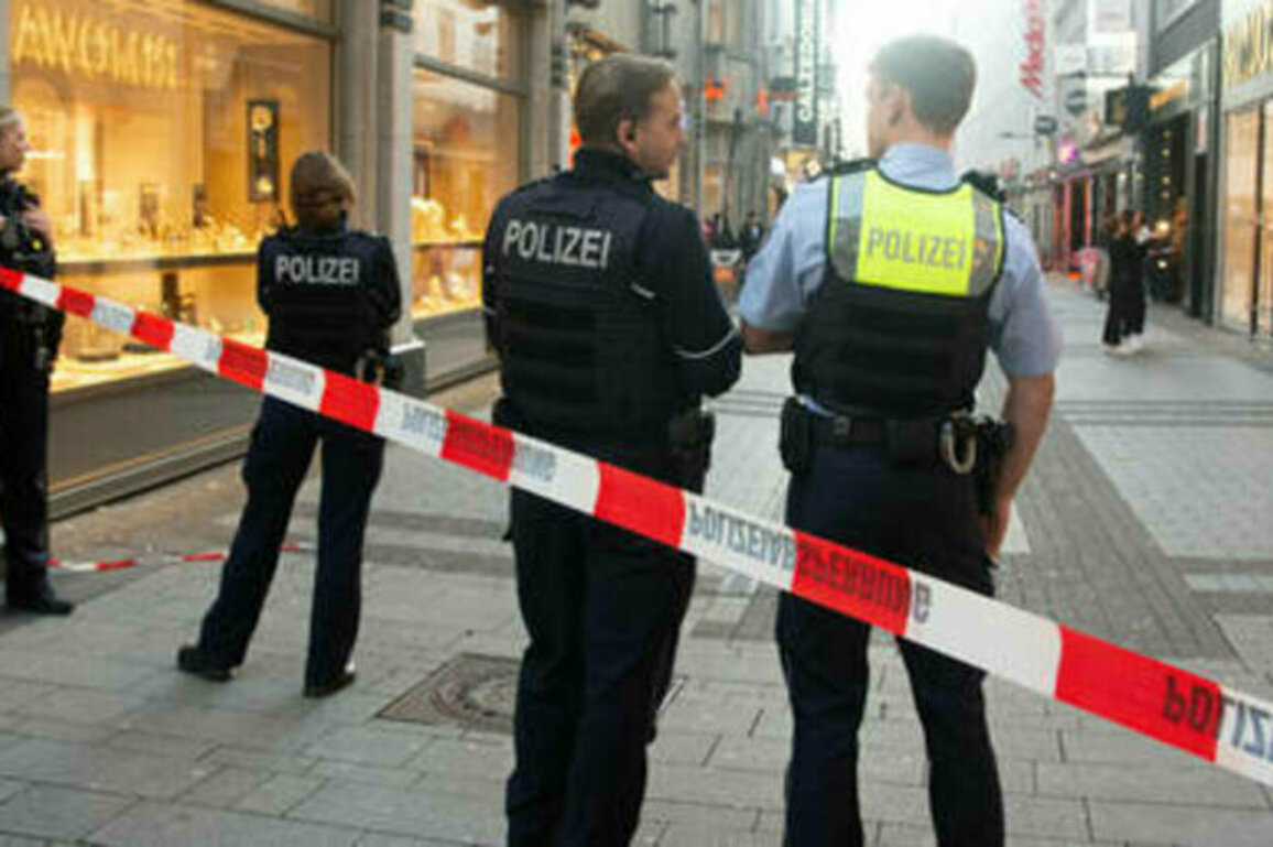 Hundreds of German cops targeted every day - data