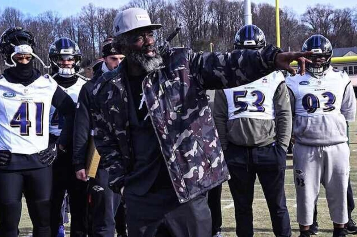 Ed Reed Delivers Speech to Ravens Before Critical Bengals Game