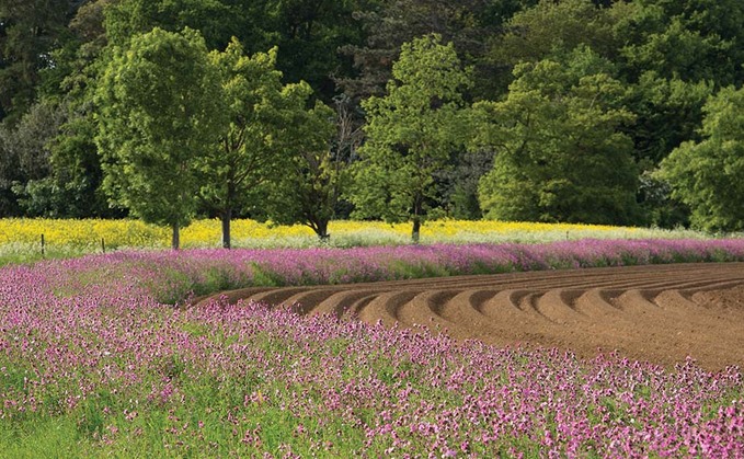 #FarmingCAN - New FG campaign drives home farming's social and economic value