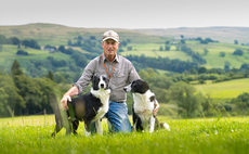 Sheepdogs, Swaledales and a forward-thinking mindset: One shepherd's story from the Northumberland fells
