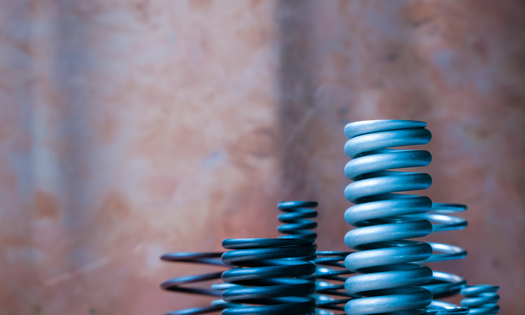 Building resilient long-term equity portfolios