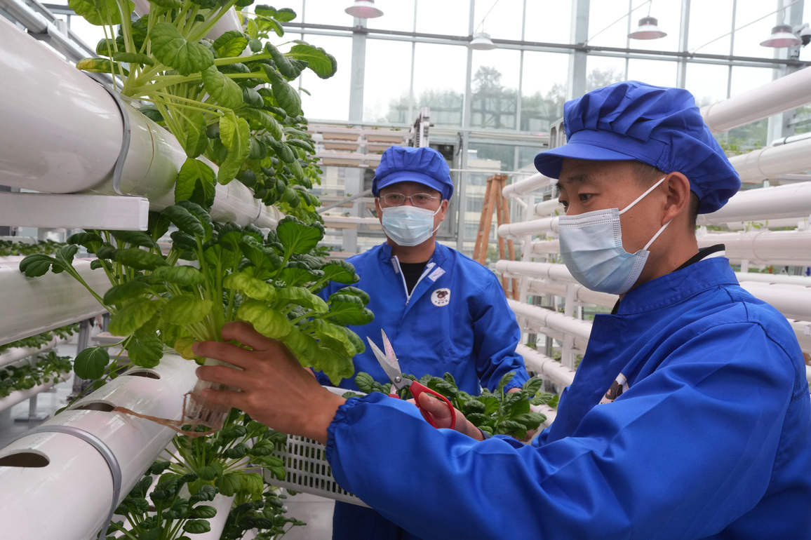 CHINA-ZHEJIANG-ZHUJI-SMART AGRICULTURAL PARK (CN)