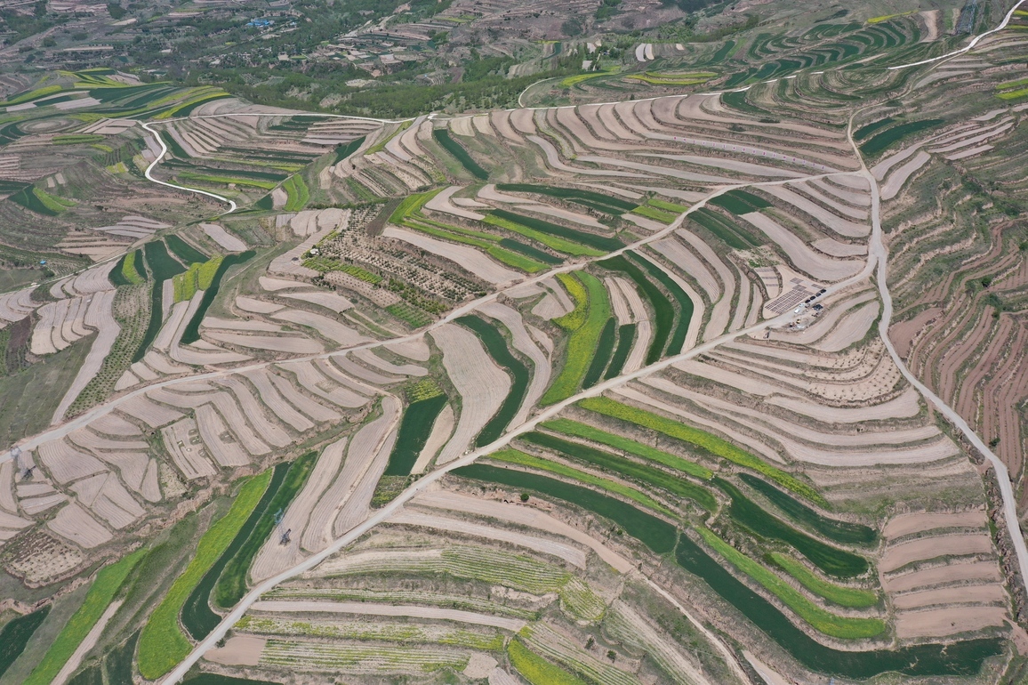 Scientists uncover how long-term cultivation affects soil fauna diversity in oasis farmlands