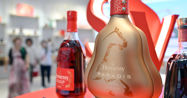 CHINA - HAINAN - HAIKOU - INTL BRANDS - YEAR OF THE HORSE ( CN ) 