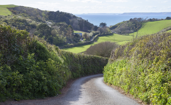 The roadmap includes a new target to expand the hedgerow network | Credit: iStock