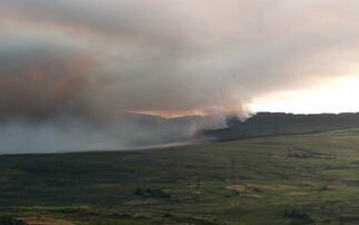Letters: Wildfires – 'How much more of this 'head in the peat' attitude before common sense prevails?'