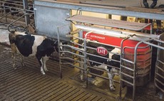 What is in store for future milk pricing?