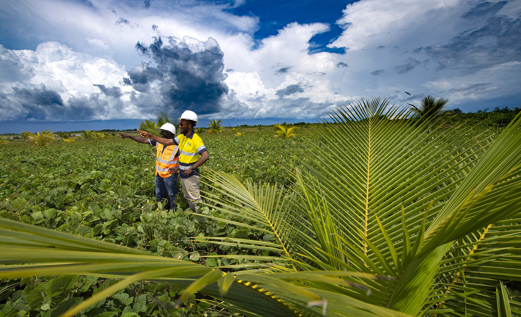 Gold Fields' Damang mine in Ghana