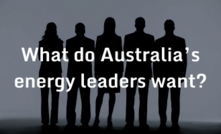 What do Australia's energy leaders want from the country's political leaders?