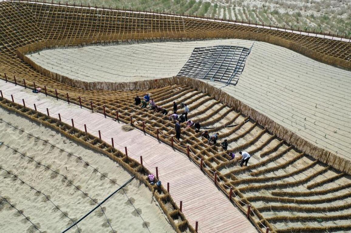 EcoChina | Green belt project transforms Taklimakan Desert in NW China's Xinjiang