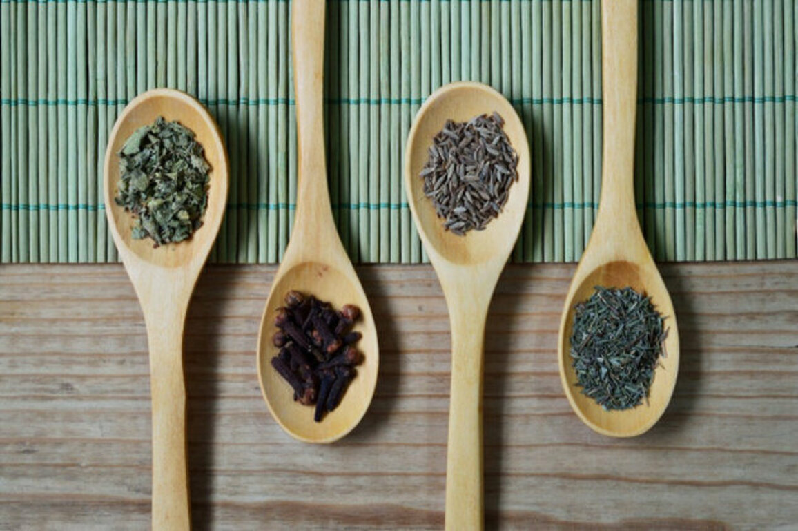Bulgaria Emerges as a Global Leader in Herb Exports