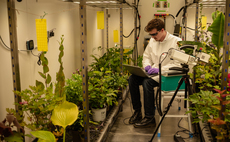 How Wild Bioscience is using 'evolutionary innovations' to create climate resilient crops