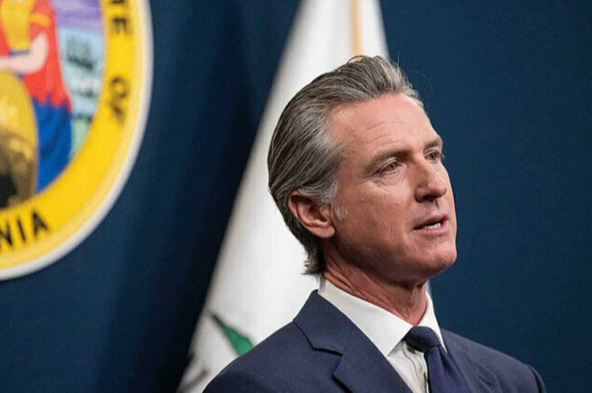 Small businesses devastated by Trump's tariffs: California governor