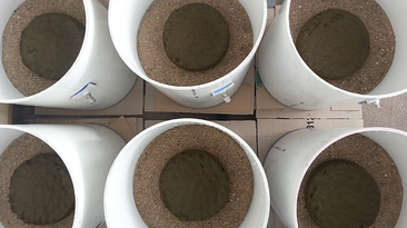 New research has shown dung beetles can drastically reduce greenhouse gas emissions from decomposing cattle manure. Pictured are test chambers used in the research.