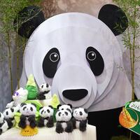 Culture&Life | Cultural and creative products gain popularity at 2025 CIFTIS