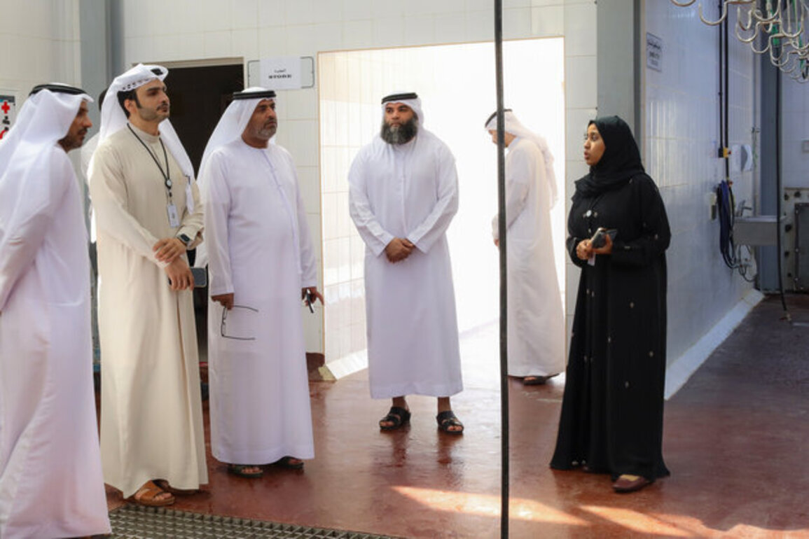Dibba Al Hisn Municipality ready for Eid with expanded services