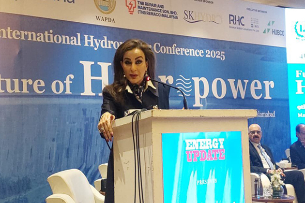 Pakistan's former minister raises alarm over water decline in Indus River